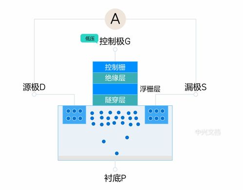 固態硬盤為何在數據處理與存儲服務中完勝機械硬盤？
